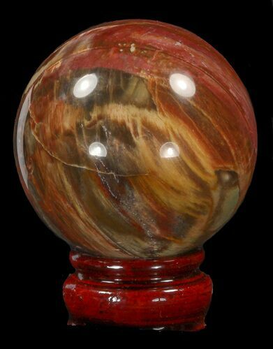 Colorful Petrified Wood Sphere #41941